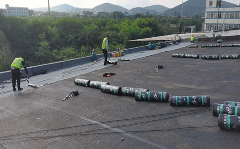 屋面做防水用自粘的卷材還是用火烤的卷材，哪個好？